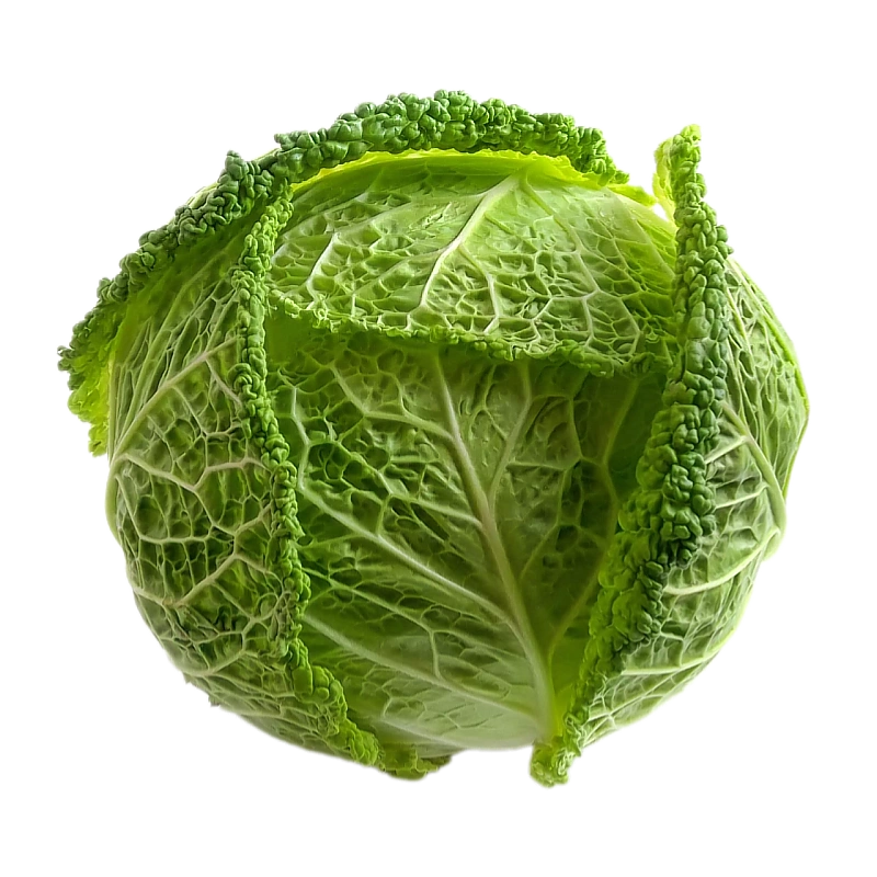 Сайт визитка